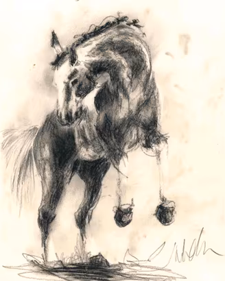 Disegno originale a carboncino – Cavallo 