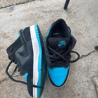 Dunk low pro N41