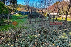 Terreno Residenziale Verona [Cod. rif 3285812VRG]