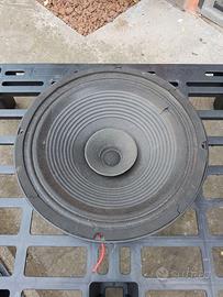 Woofer Full Range Doppio Cono 12" 310mm