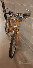 Mountain Bike Bianchi