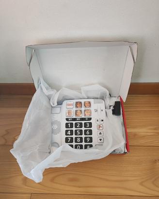 telefono fisso 