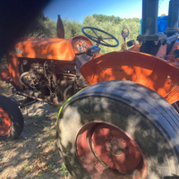 Trattore agricolo fiat 312