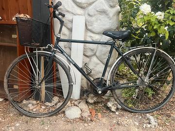 Bici da uomo