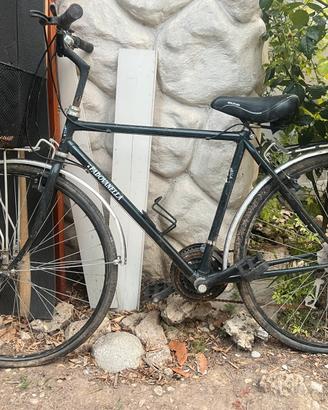 Bici da uomo