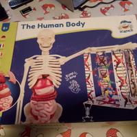Scatola CLEMENTONI The Human Body