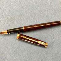 Penna Stilografica Parker 75