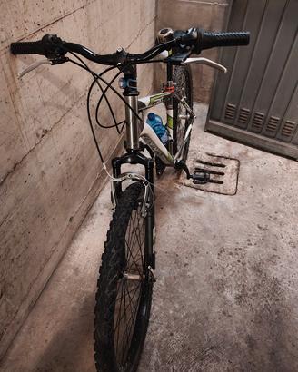 Bici MTB 