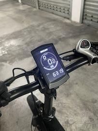 Bici Elettrica, Scambler Ducati