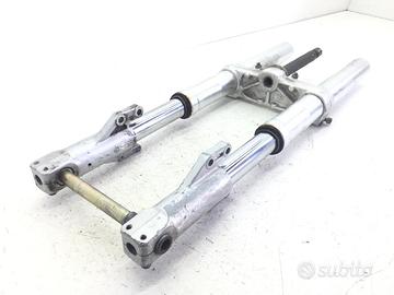 FORCELLA CON PARAPOLVERI DA SOSTITUIRE DUCATI MONS