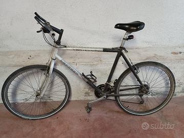 MOUNTAIN BIKE CARRARO VERTICAL