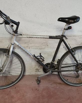 MOUNTAIN BIKE CARRARO VERTICAL