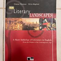 New Literary Landscapes