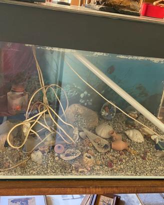 Acquario