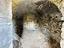Immagine 20