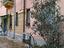Immagine 13