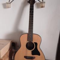 travel guitar