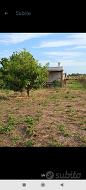 Terreno di mq. 2500