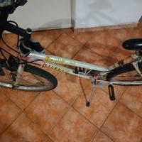 bici Mountain bike 