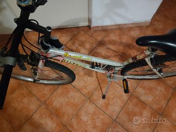 bici Mountain bike 