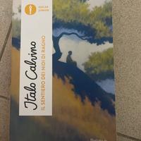 il sentiero dei nidi fi ragni di italo calvino