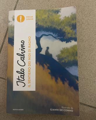 il sentiero dei nidi fi ragni di italo calvino