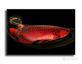Quadro Stampa su Tela Arowana Red 70x120