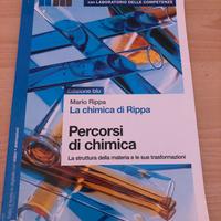 La chimica di rippa- percorsi di chimica