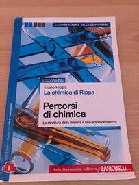 La chimica di rippa- percorsi di chimica
