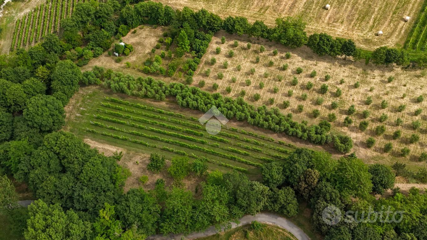 TER. AGRICOLO A CALVAGESE DELLA RIVIERA - Vista 5