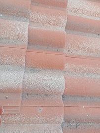 Tegole portoghesi 30 mq