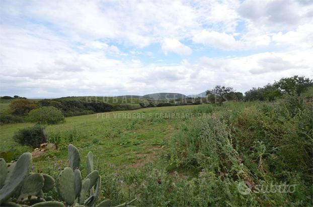 Azienda zootecnica nella pianura della Nurra