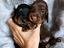 Immagine 5