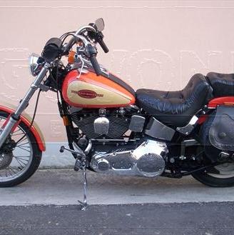 Harley Davidson fxstc Softail Custom Custom Color