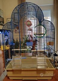 Gabbia per uccellini