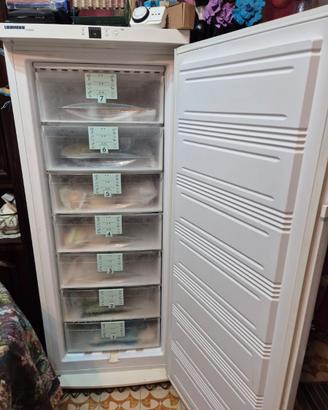 FREEZER LIEBHERR