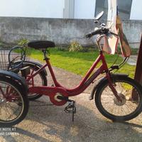 Bicicletta triciclo elettrico pedalata assistita 