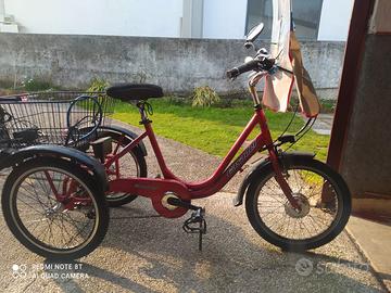 Bicicletta triciclo elettrico pedalata assistita 