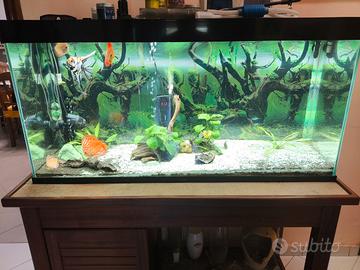 Acquario Ciano 240L Completo di tutto + Accessori
