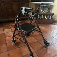 Carrello per disabili