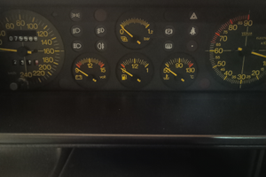 Delta integrale 1990