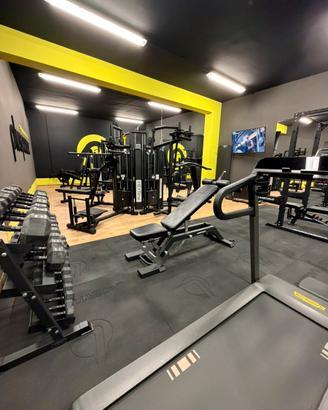 HOME GYM PROFESSIONALE COMPLETA- PARI AL NUOVO