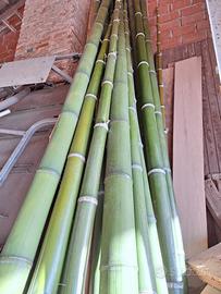 BAMBOO