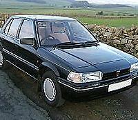 Parabrezza Rover 200 da 1984