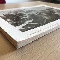 L'Album dei Ricordi II Serie del Friuli