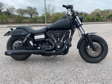 Harley davidson fat bob