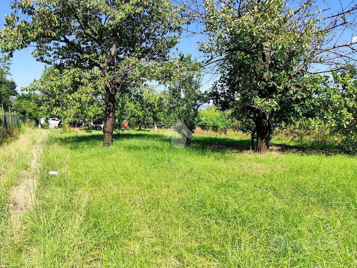 TER. AGRICOLO A NOCERA SUPERIORE - Altro