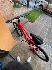 Bici mountain bike cambio shimano