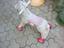 Immagine 1