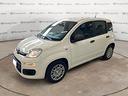 fiat-panda-1-0-firefly-s-s-hybrid-pandina